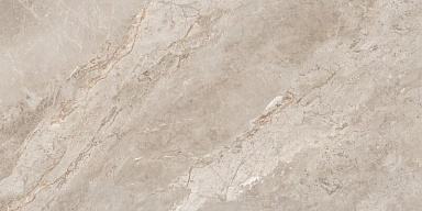 Керамогранит Neodom N20767 Rome Taupe Polished 60x120