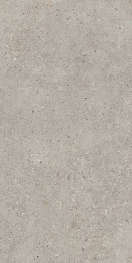 Керамогранит Kerama Marazzi SG519920R Риккарди серый светлый матовый обрезной 60х119,5