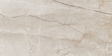 Керамогранит A-Ceramica Eco 6536 Polished 60x120