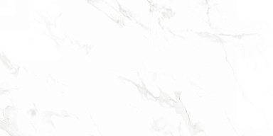 Керамогранит Neodom N12003 Venus Bianco Polished 60x120