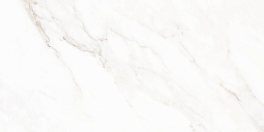 Керамогранит Neodom N40059 Calacatta Polished 60x120