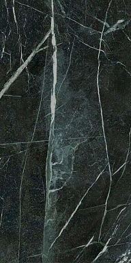 Керамогранит Ariana Ceramica PF60009345 Veria Green Lapp. 3d Ret 60x120