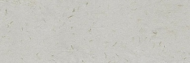 Плитка Ibero R0002309 Botanical Savia Rect. 30x90