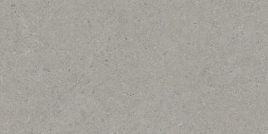 Керамогранит Tau Ceramica Calcare Silver 60x120