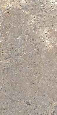 Керамогранит Lea Ceramiche LGXAL30 Anthology 03 Earth Worn RT 9.5mm 60x120