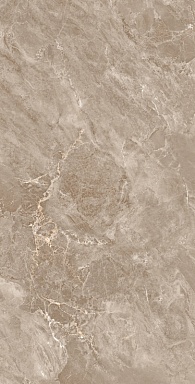 Керамогранит Arcadia Ceramica FP1031-A Modena Brown Full Polished 60x120