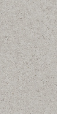 Керамогранит Kerama Marazzi DD591200R Чеппо ди Гре серый светлый матовый обрезной 119,5x238,5x1,1