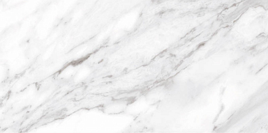 Керамогранит Ceracasa North Gloss White 49.1x98.2