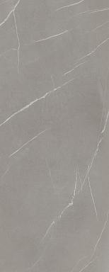 Керамогранит Laminam LAMF009437_IT IN-SIDE Pietra Piasentina Grigio Fiam 5+ 1200x3000