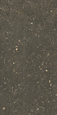 Керамогранит Casa Dolce Casa 785503 Rinascenza Arena Platino Grip 30x60