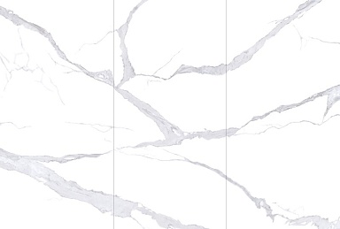 Керамогранит NT Ceramic NTT3008P Bianco Statuario 120x240
