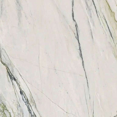 Керамогранит Ariana Ceramica PF60009346 EPOQUE 21 ARABESCATO ANT R 60x60