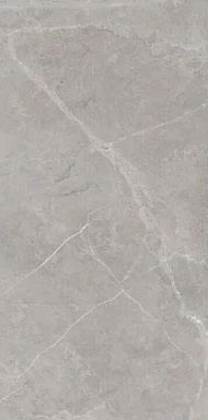 Керамогранит Art Ceramic Berrys Grey High gloss 60*120