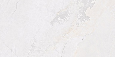 Керамогранит Fanal Planet White N Metal Shine 60x120
