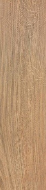 Керамогранит Atlas Concorde Italy AJ8D Etic Rovere Ret. 22.5х90