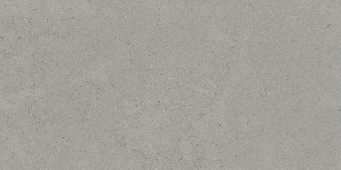Керамогранит Tau Ceramica Calcare Silver 60x120