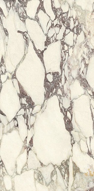 Керамогранит Ariostea PL612671 Calacatta Viola Luc 60x120