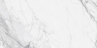 Керамогранит NT Ceramic NTT99527С Artic statuario Carving 60x120