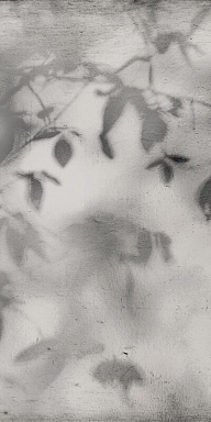 Керамогранит Flaviker PF60012582 Art Walls Shadow Nat R 60x120