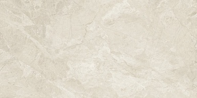 Керамогранит Baldocer Canyon Bone Rect 60x120