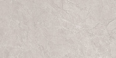 Керамогранит Neodom N20555 Aristo Grey Tm 60x120