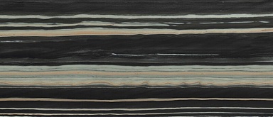 Керамогранит Tau Ceramica Bosco Black Pul 6mm 120x280