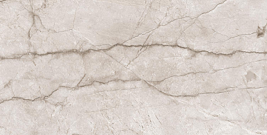 Керамогранит Alpas Euro New Tone Pol. 60x120