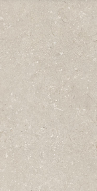 Керамогранит Dado Ceramica 005486 Shellstone Beige 60x120