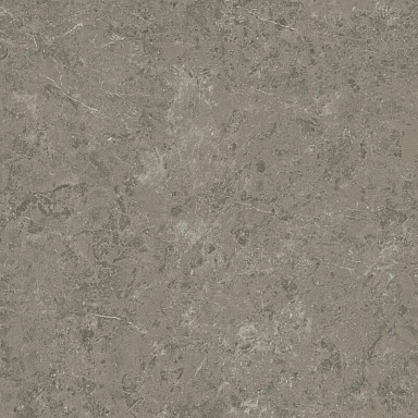 Керамогранит Atlas Concorde Italy AJIF Marvel Meraviglia Grigio Elegante Lapp. 120x120