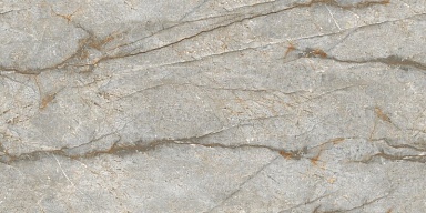 Керамогранит NT Ceramic NTT99517M Forest Carving 60x120