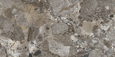 Керамогранит Cristacer Ceppo de seville Antracite Pulido 60x120