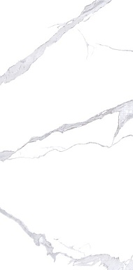 Керамогранит NT Ceramic NTT3008P Bianco Statuario 120x240