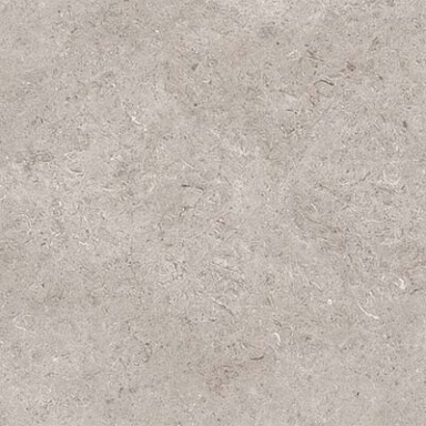 Seashell Gravita