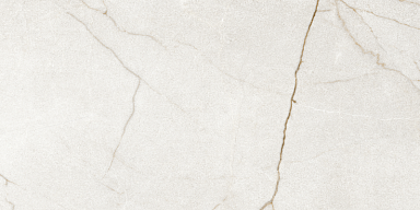 Керамогранит Argenta Raffaello Ivory Matt Artech 60x120