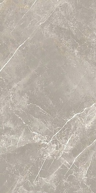 Керамогранит Cerim 766528 Elemental Grey Dolomia Luc Ret 60x120