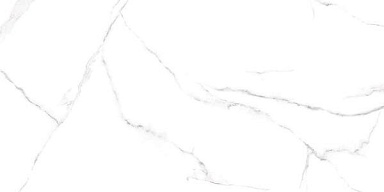 Керамогранит Alma Ceramica GFU60120CRR00R Carrara 60х120
