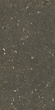 Керамогранит Casa Dolce Casa 785503 Rinascenza Arena Platino Grip 30x60