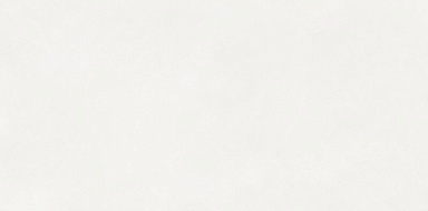 Керамогранит Neodom N110011 Aston White Matt 60x120