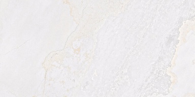 Керамогранит Fanal Planet White N Metal Shine 60x120