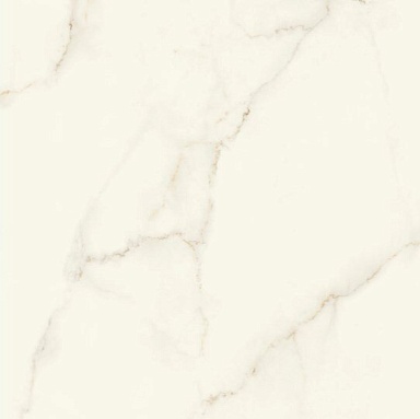 Керамогранит Atlas Concorde Italy AFVJ Marvel Calacatta Apuano Silk 120x120
