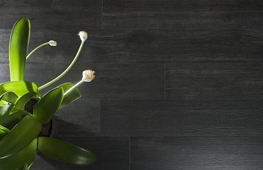 Плитка Emigres HARDWOOD GRIS rect. 16.5x100