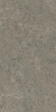 Керамогранит Atlas Concorde Italy AJIA Marvel Meraviglia Grigio Elegante Lapp. 120x240