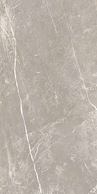 Керамогранит Cerim 766526 Elemental Grey Dolomia Nat Ret 60x120