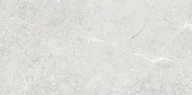 Керамогранит Art&Natura Ceramic Una Pietra Nordix Silver Glossy 60x120