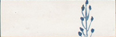 Декор Marazzi Italy M96T Rice Bianco dec Leaf Lux 5x15