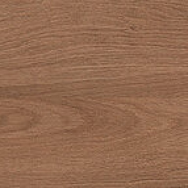 Canarium Brown Laparet