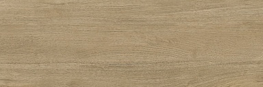 Плитка Delacora WT93WOS21R Woodstyle Oak 300x900x8.5
