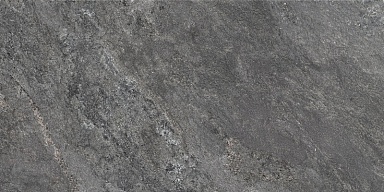 Керамогранит Global Tile GT5010027409MCR Виталити Темно-серый 50x100