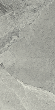 Керамогранит Italon 610015000358 Charme Extra Silver Nat Ret 30x60