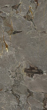 Керамогранит NT Ceramic NTT3601P Stone Alpino 120x280